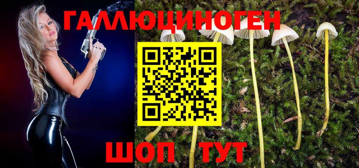 Зеленокумск  где продают наркотики  Вход с VPN  Галлюциногенные грибы MAGIC MUSHROOMS 